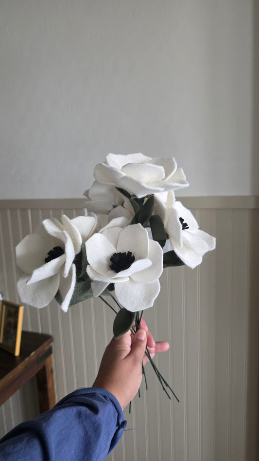 Anemone