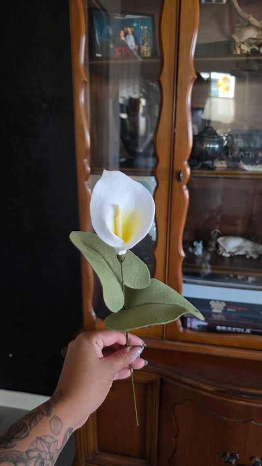 Calla Lily