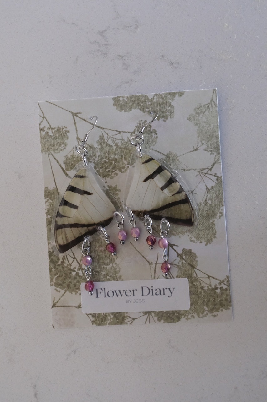 Graphium agetes Wing Earrings (2)