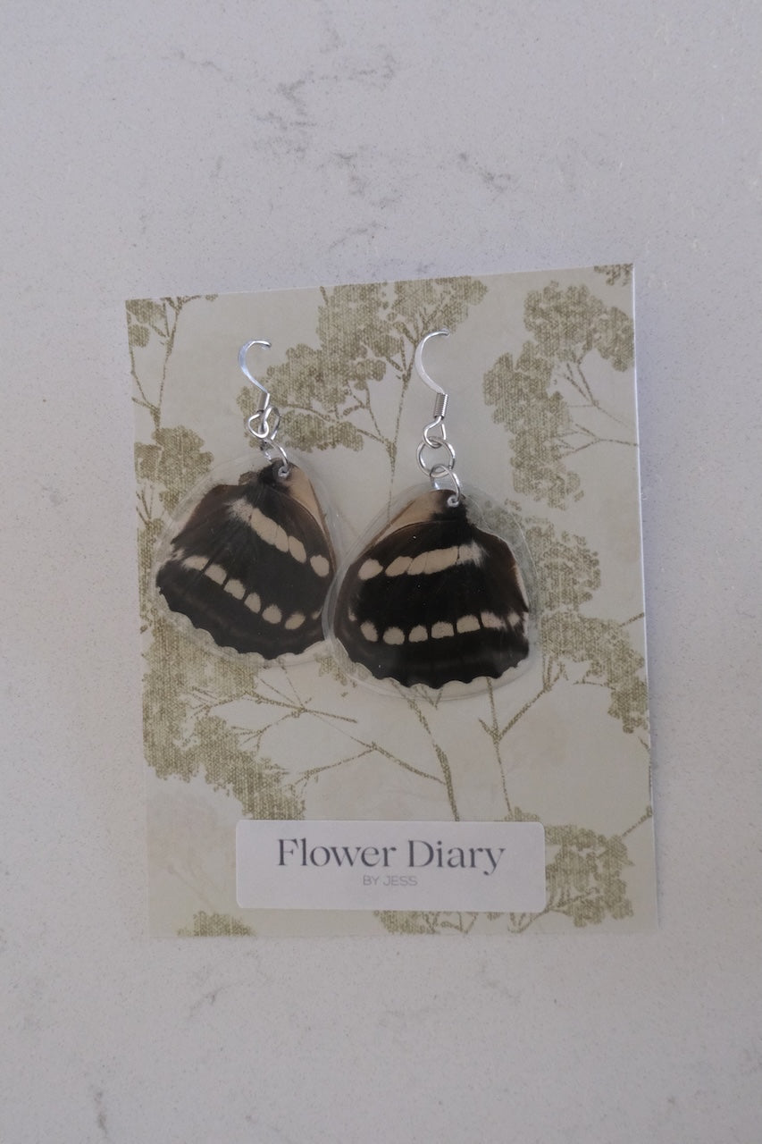Neptis sappho Wing Earrings
