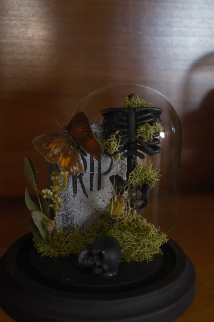 Cemetery Dome .3