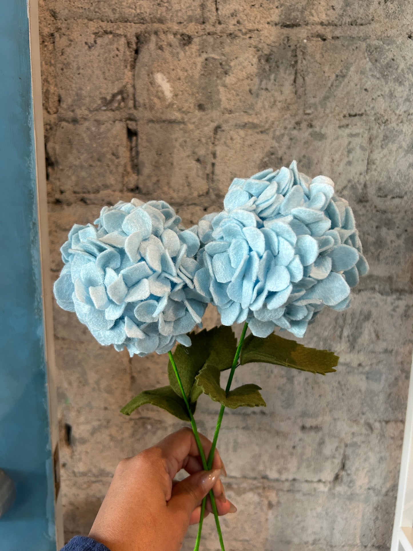 Hydrangeas