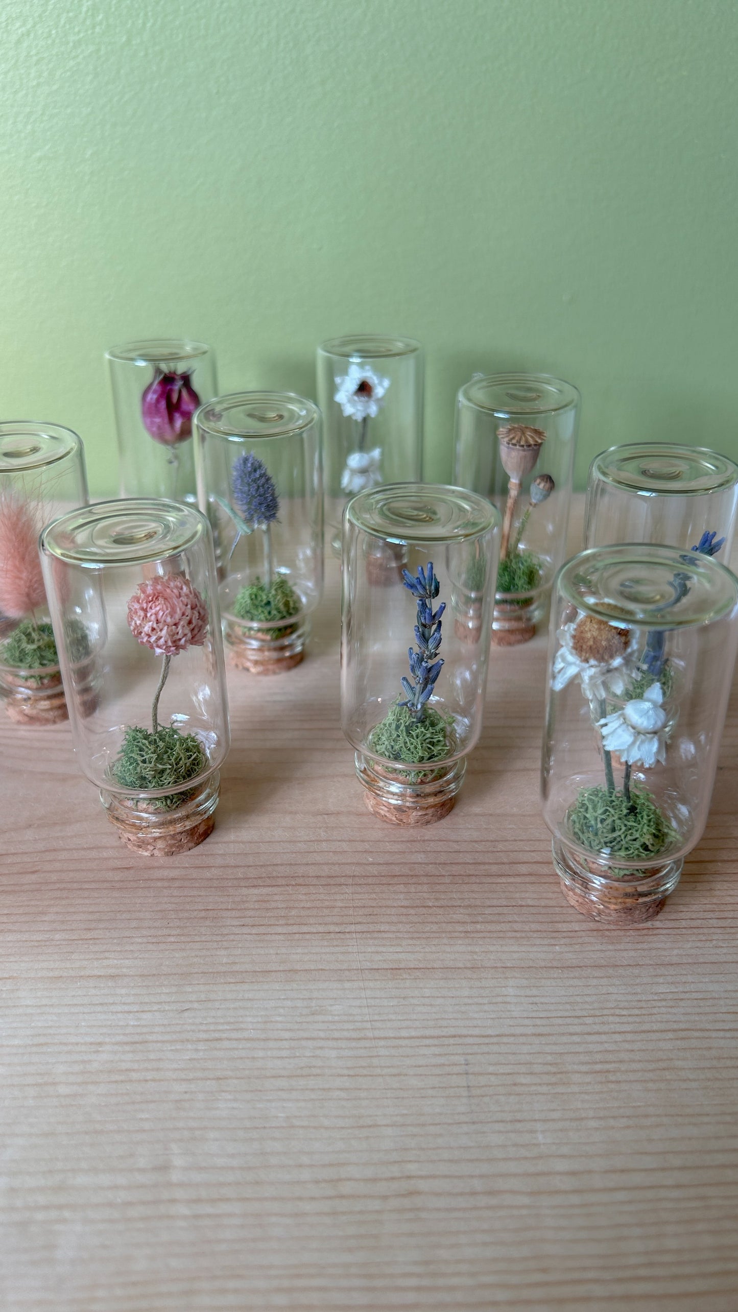 Mini Flower Frame Workshop 1/31/26