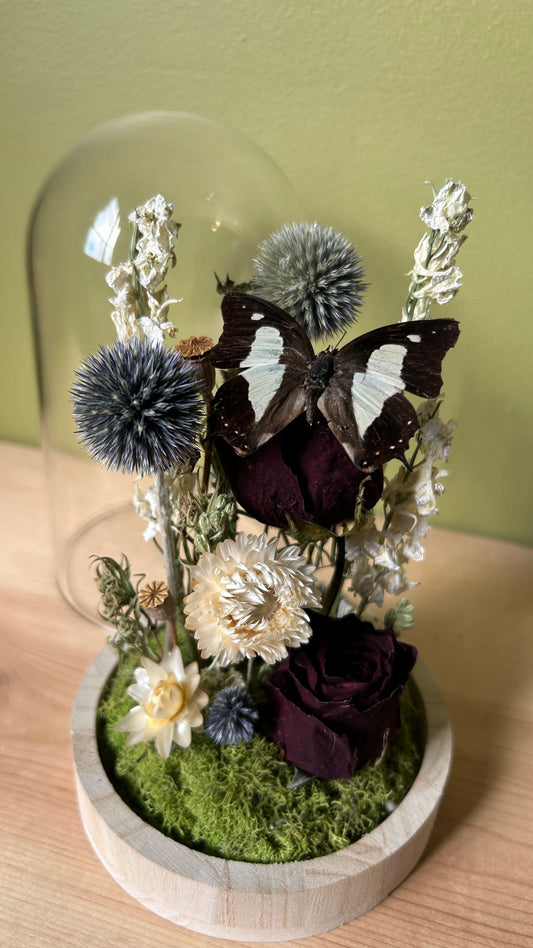 Interest form Workshop : Butterfly Dome