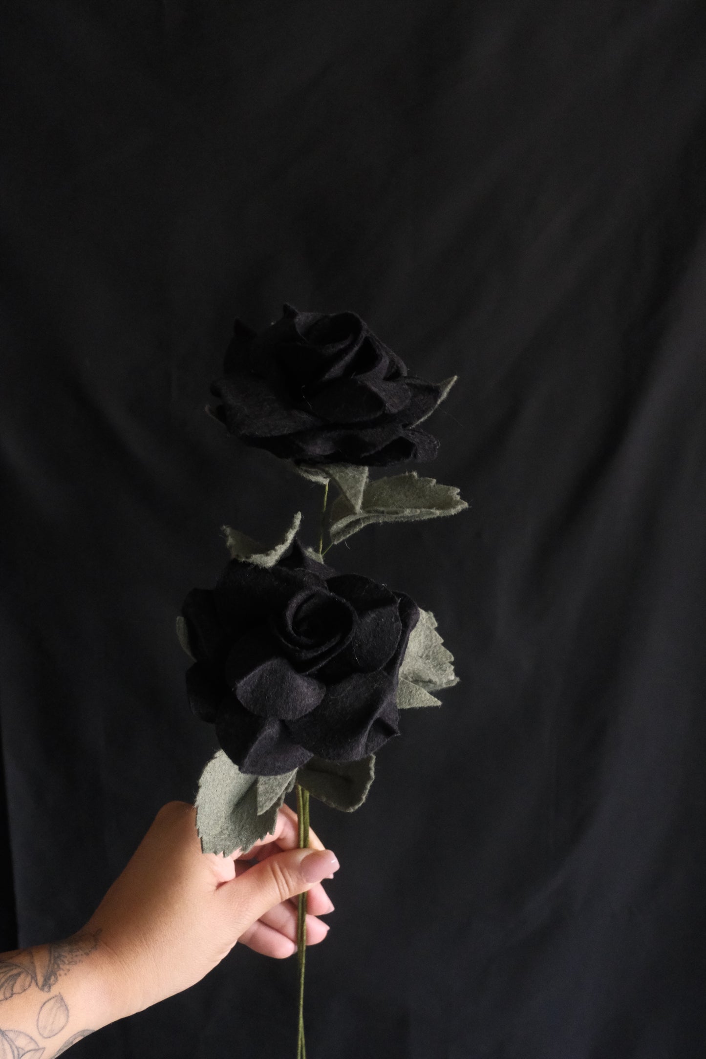 Black Roses - Flower