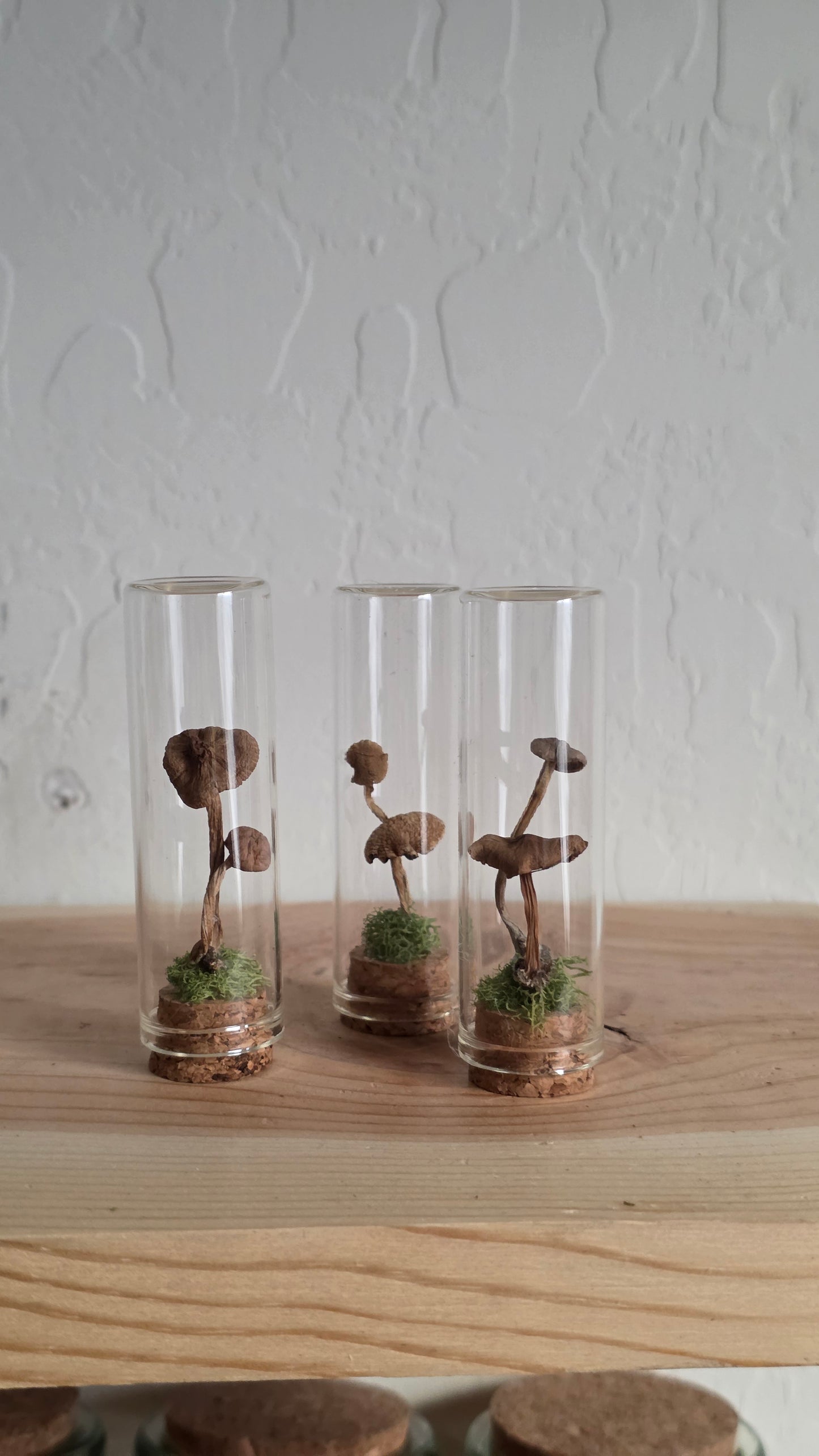 Mushroom Trinket