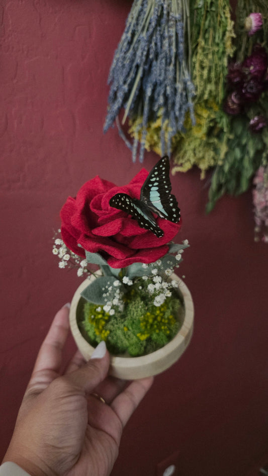 Butterfly Rose Dome