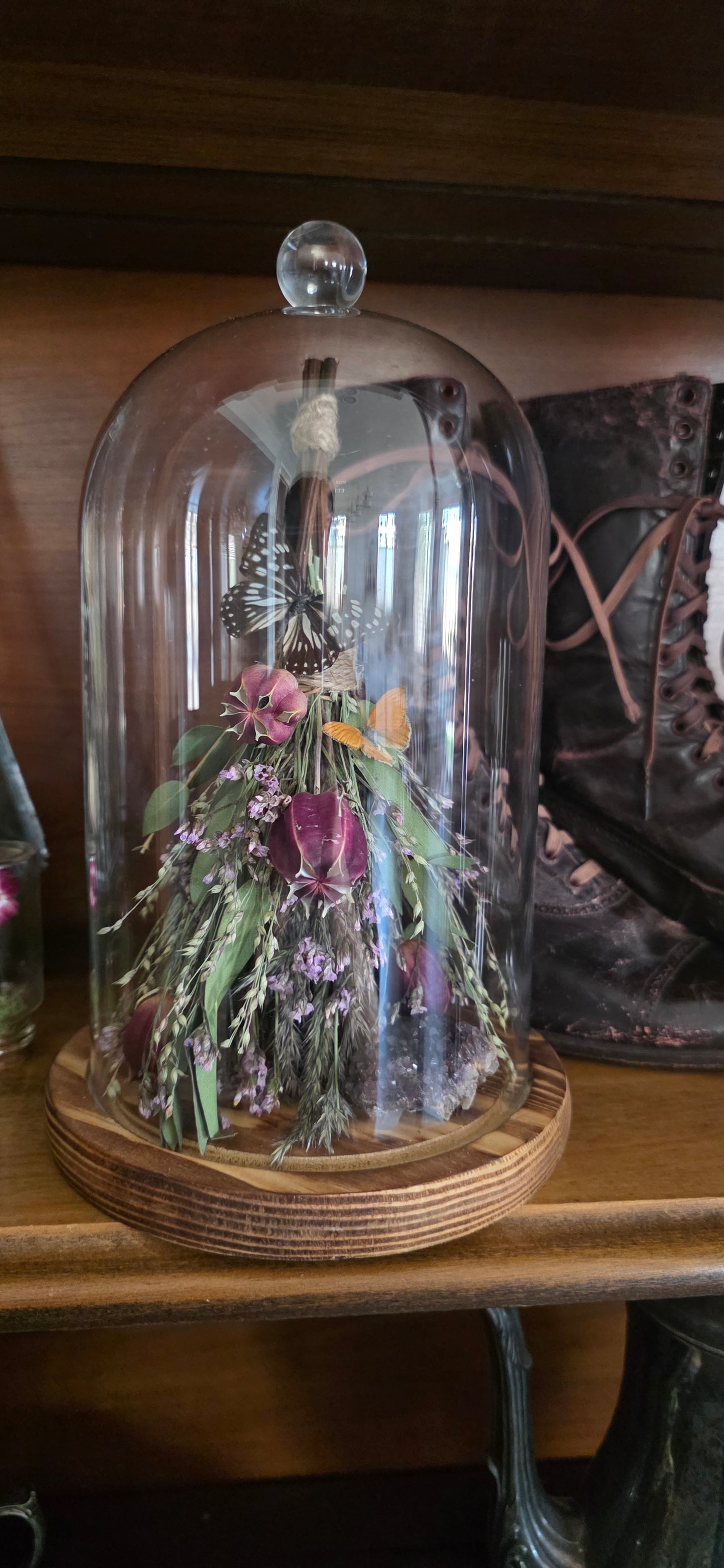 Witches Broom Butterfly Dome .1