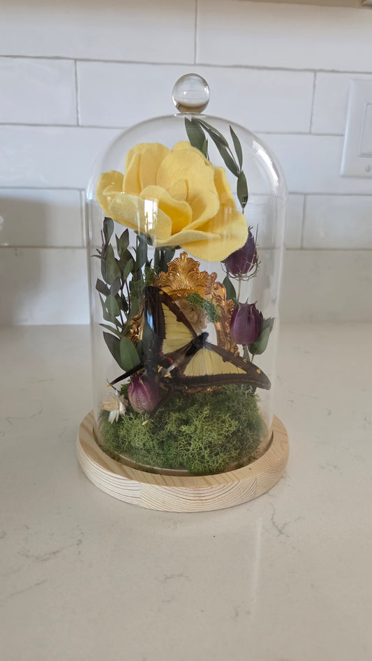 Fairy Portal Dome