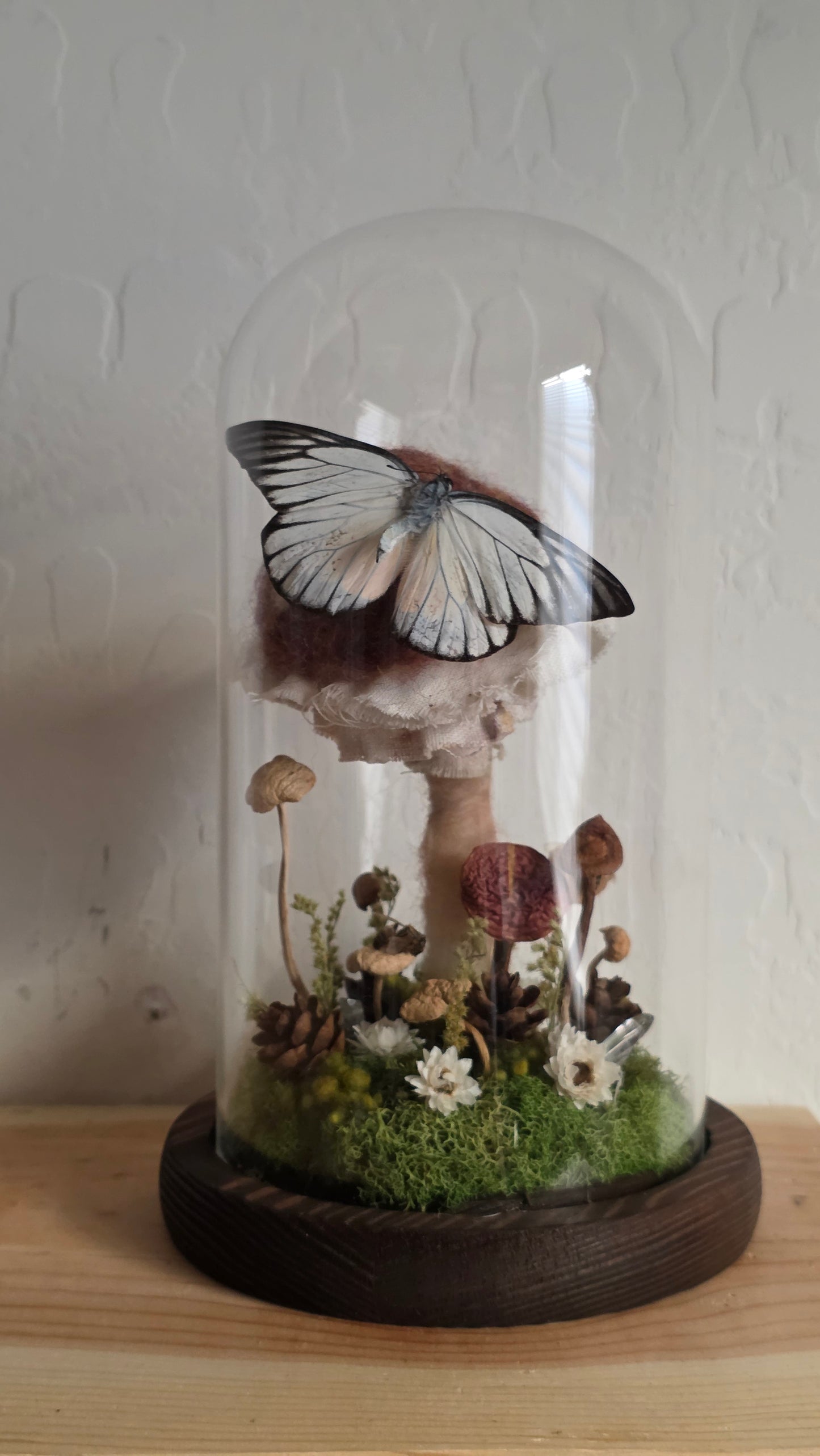 The Mushroom Stop Dome