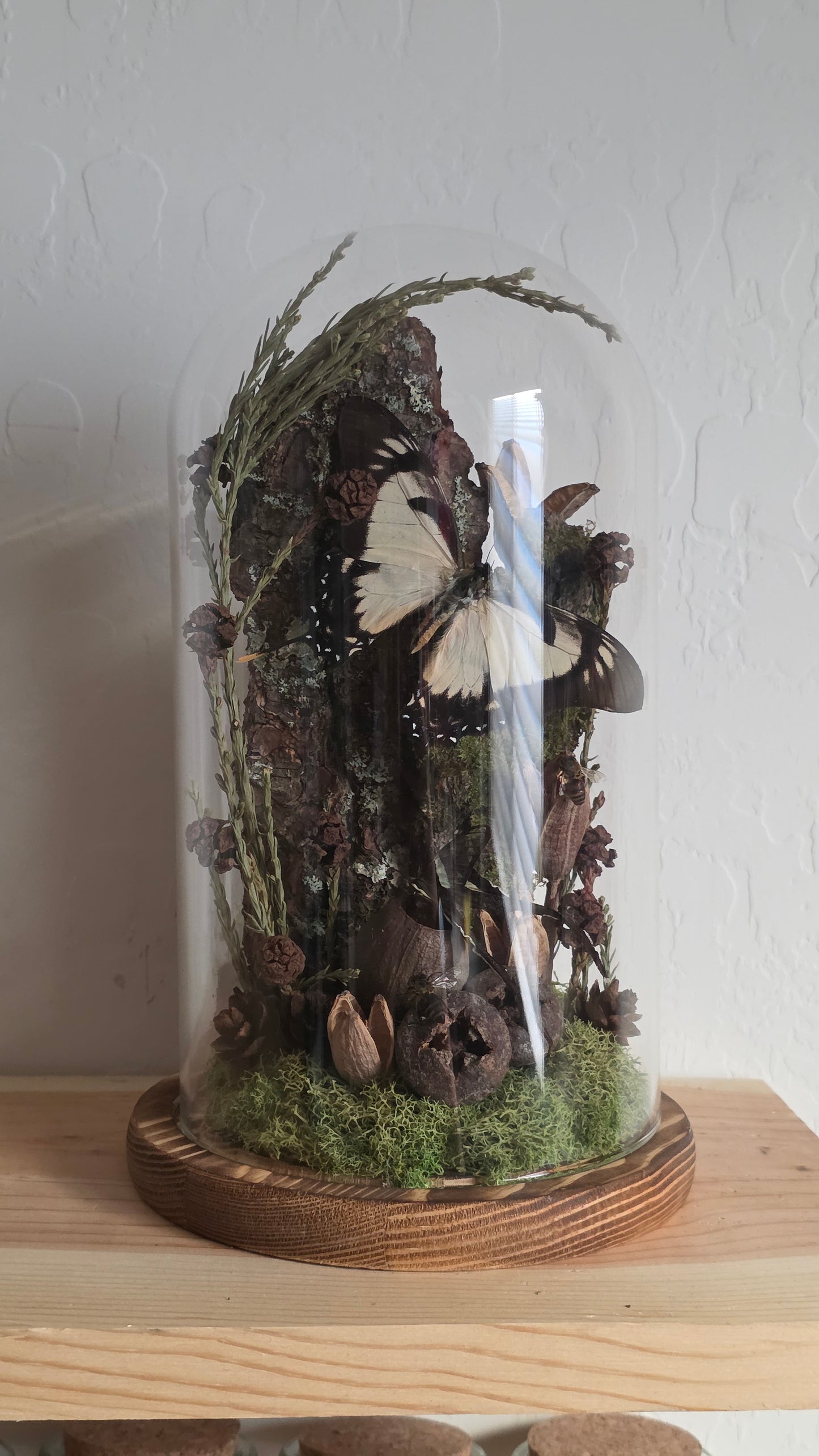 A Forest Escape