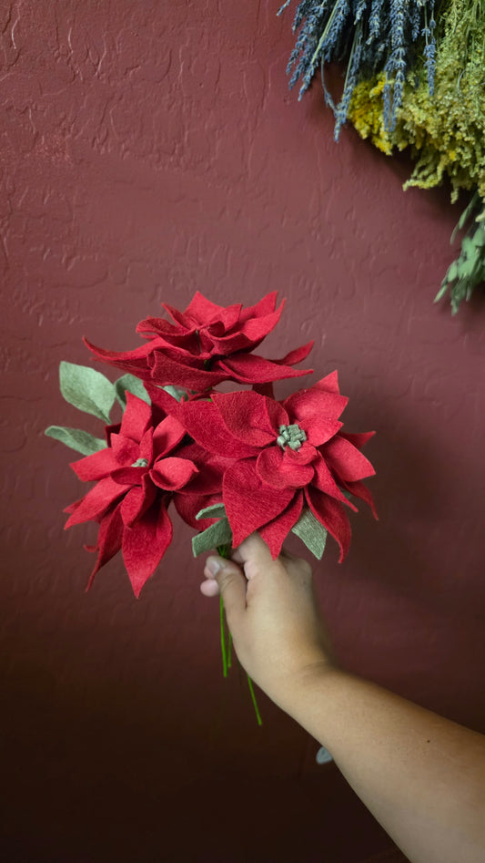 Poinsettia Bouquet