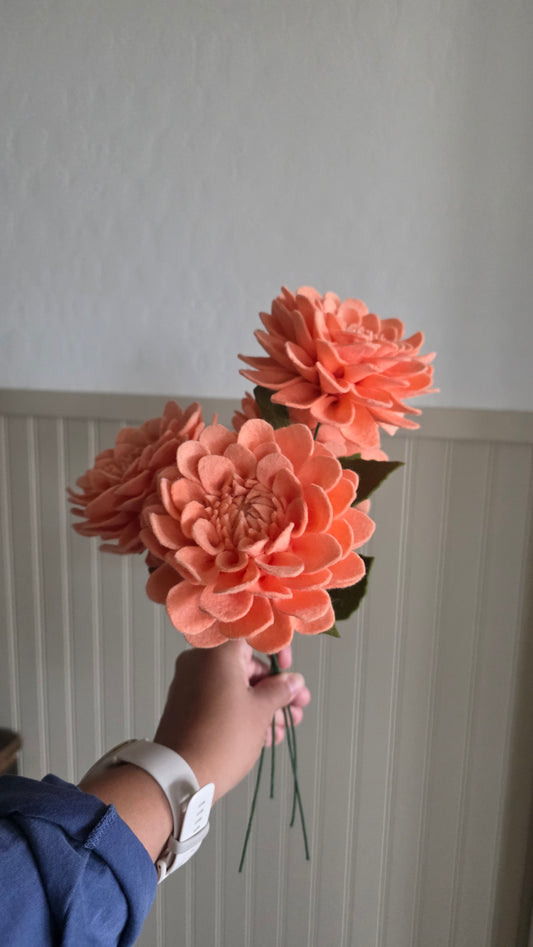 Dahlia - Peach