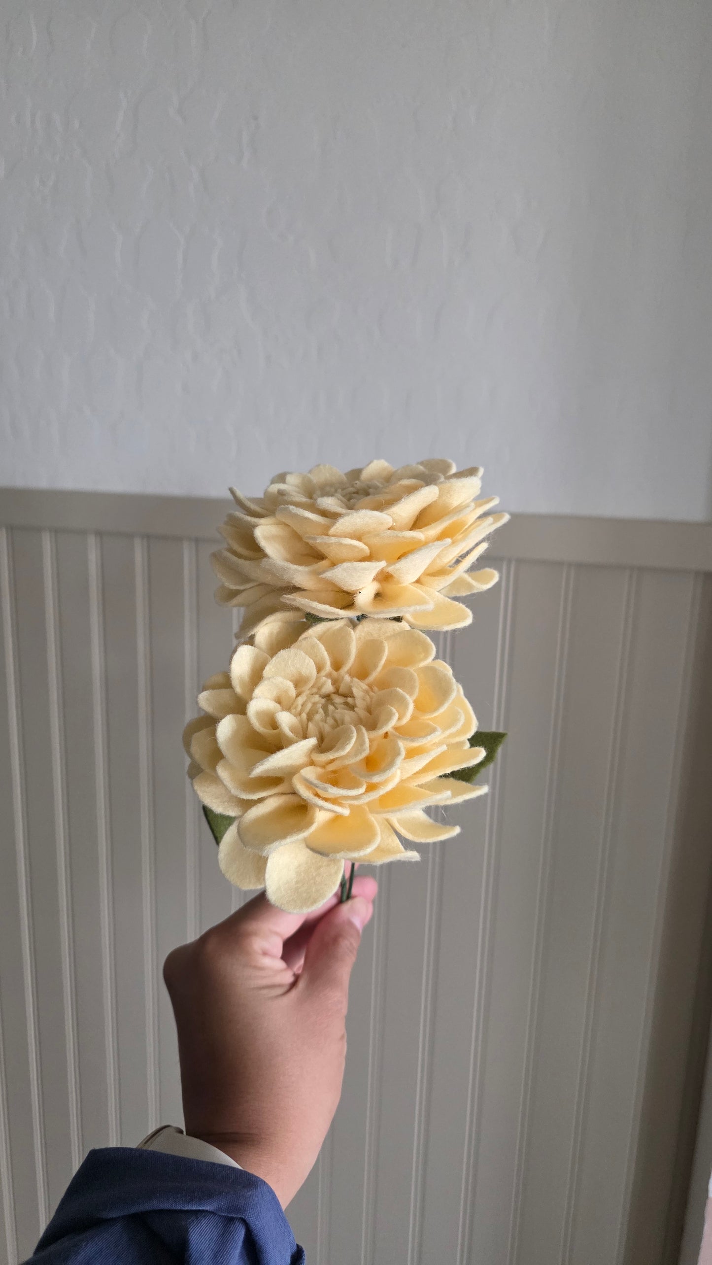 Dahlia