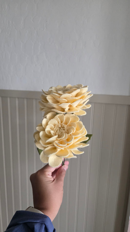 Dahlia - Yellow