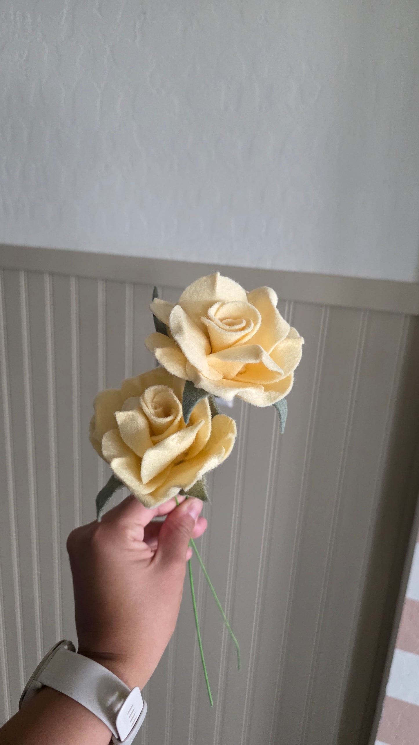 Roses - Yellow