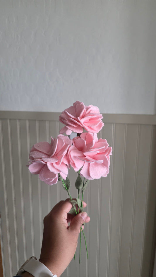 Carnation - pink