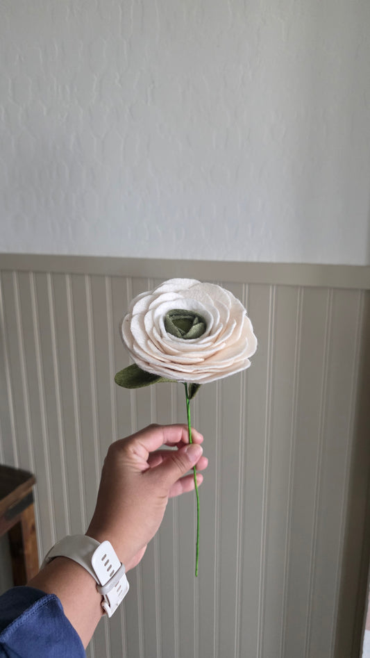 Ranunculus- White