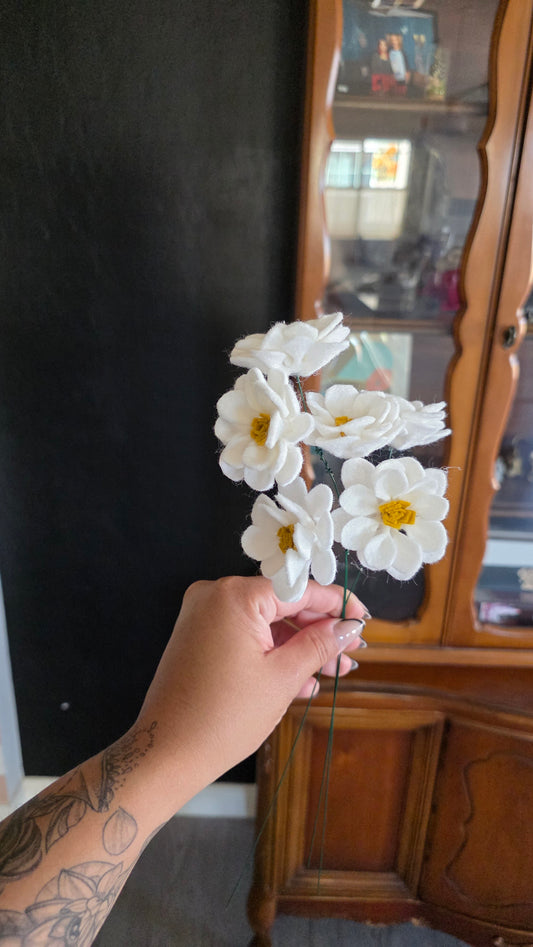 Daisy