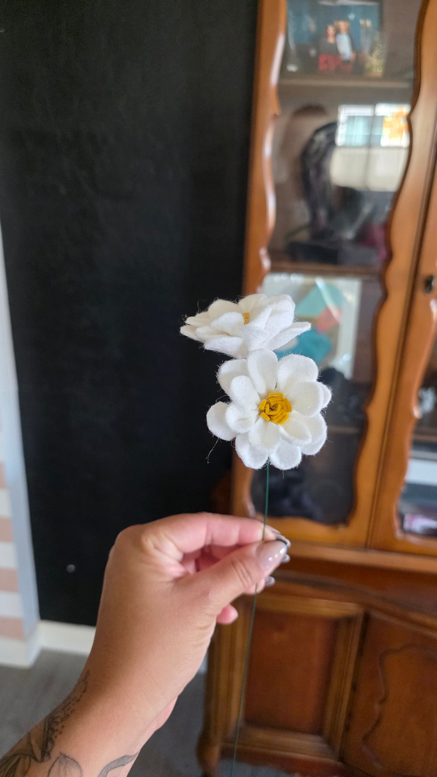 Daisy