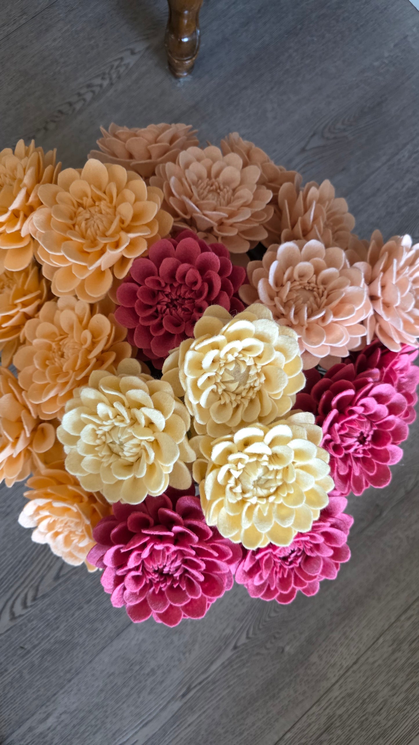 Dahlia