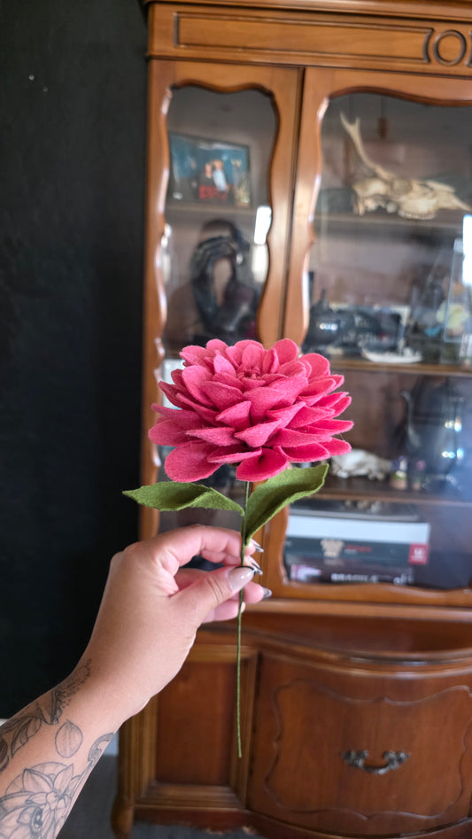 Dahlia