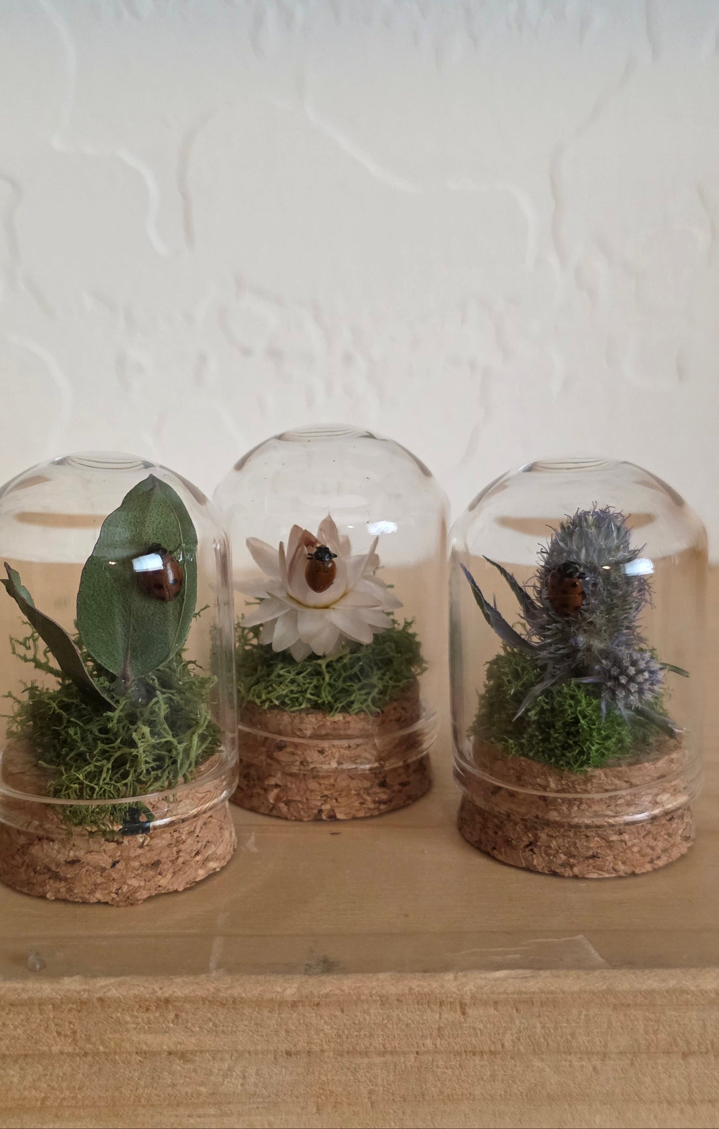 Lady Bug Tiny Dome