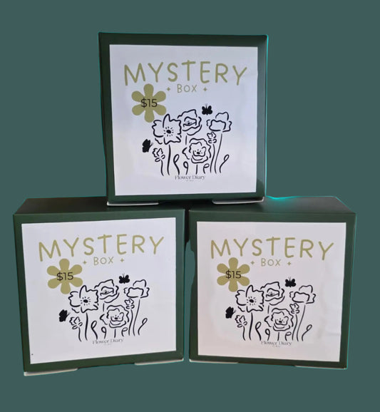 Mystery Box