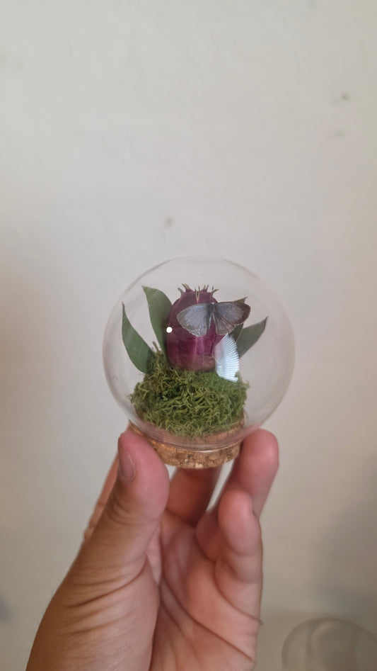 Tiny Butterfly Round Dome.1