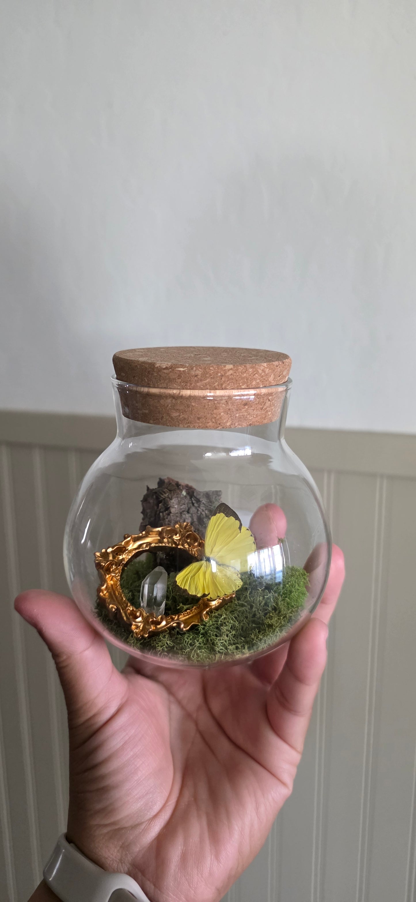Butterfly Terrarium .3