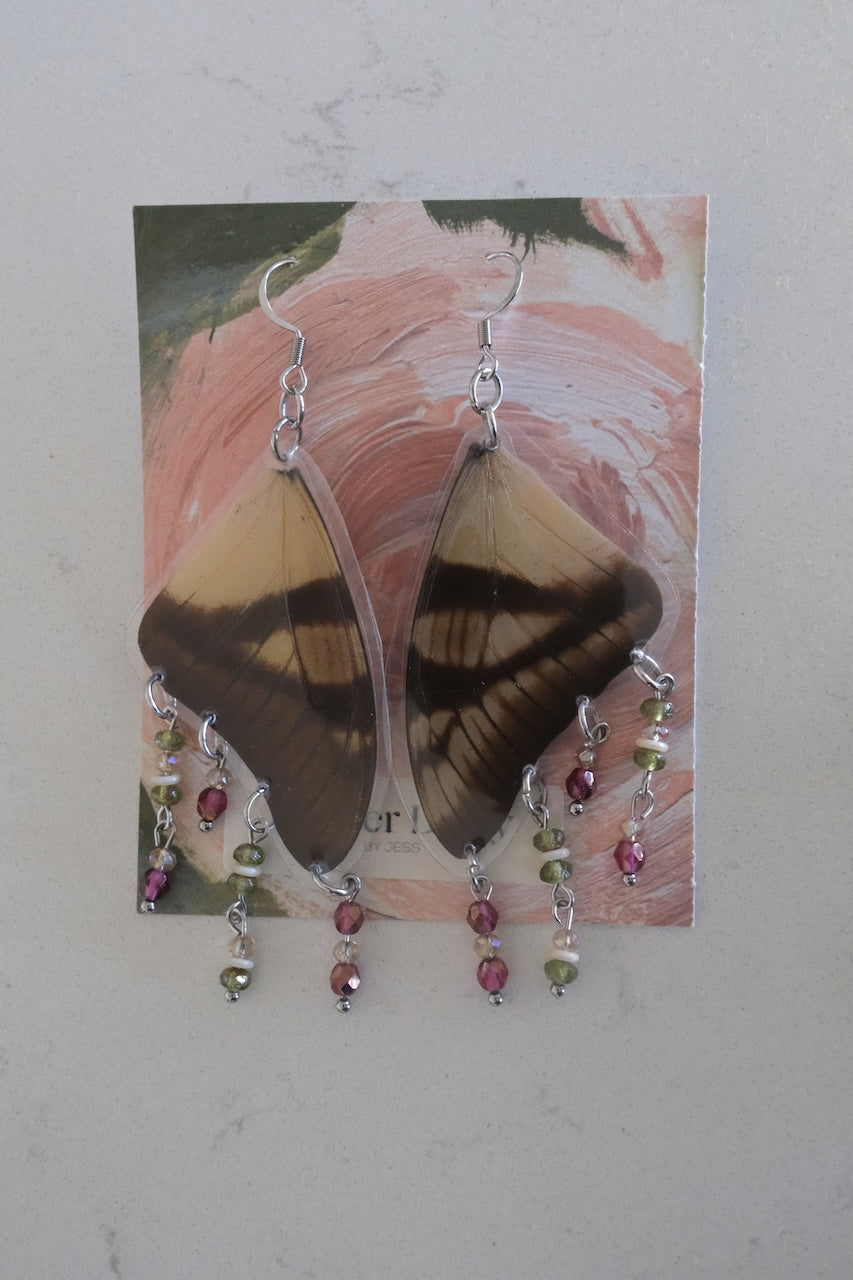 Eurytides serville Wing Earrings