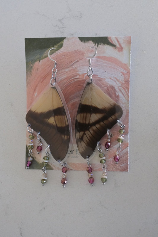 Eurytides serville Wing Earrings