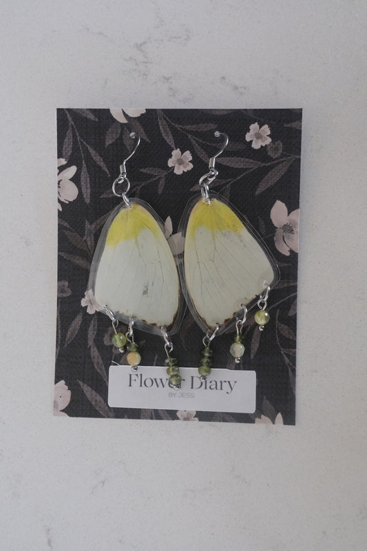 Phoebis statira Wing Earrings