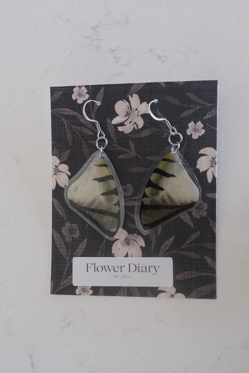 Graphium agetes Wing Earrings