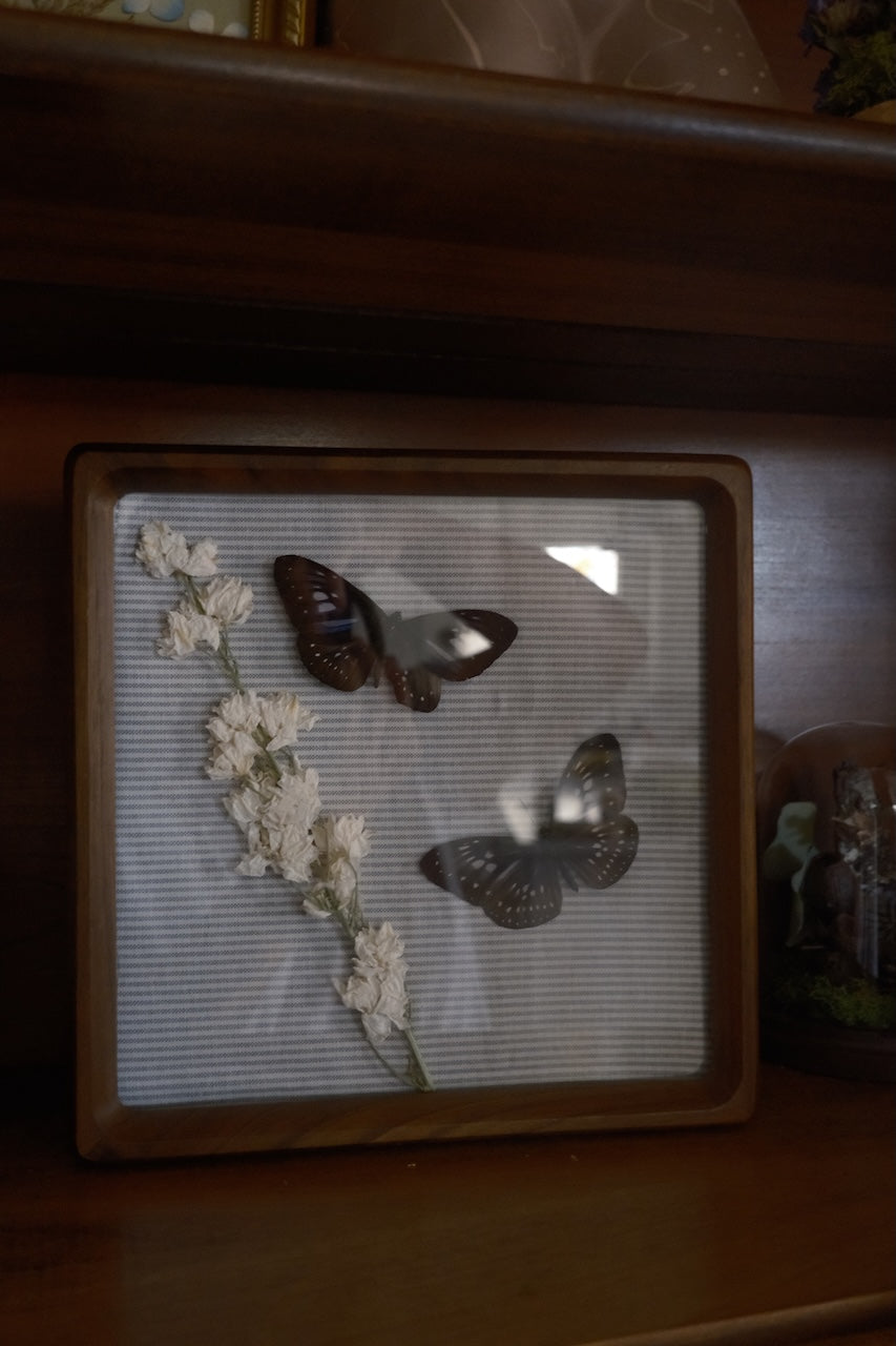 Neutral Frame