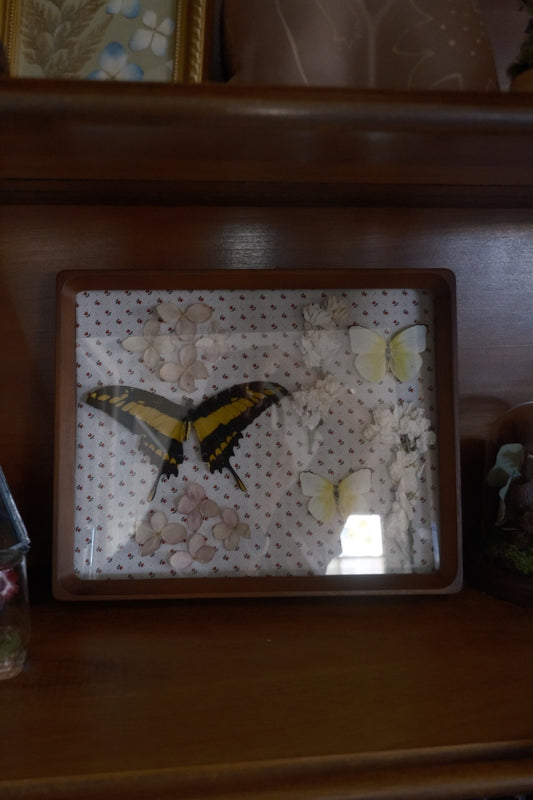 Cottage core Frame