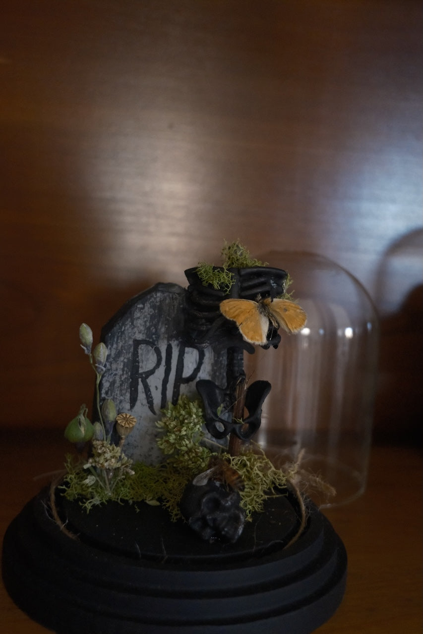 Cemetery Dome .4