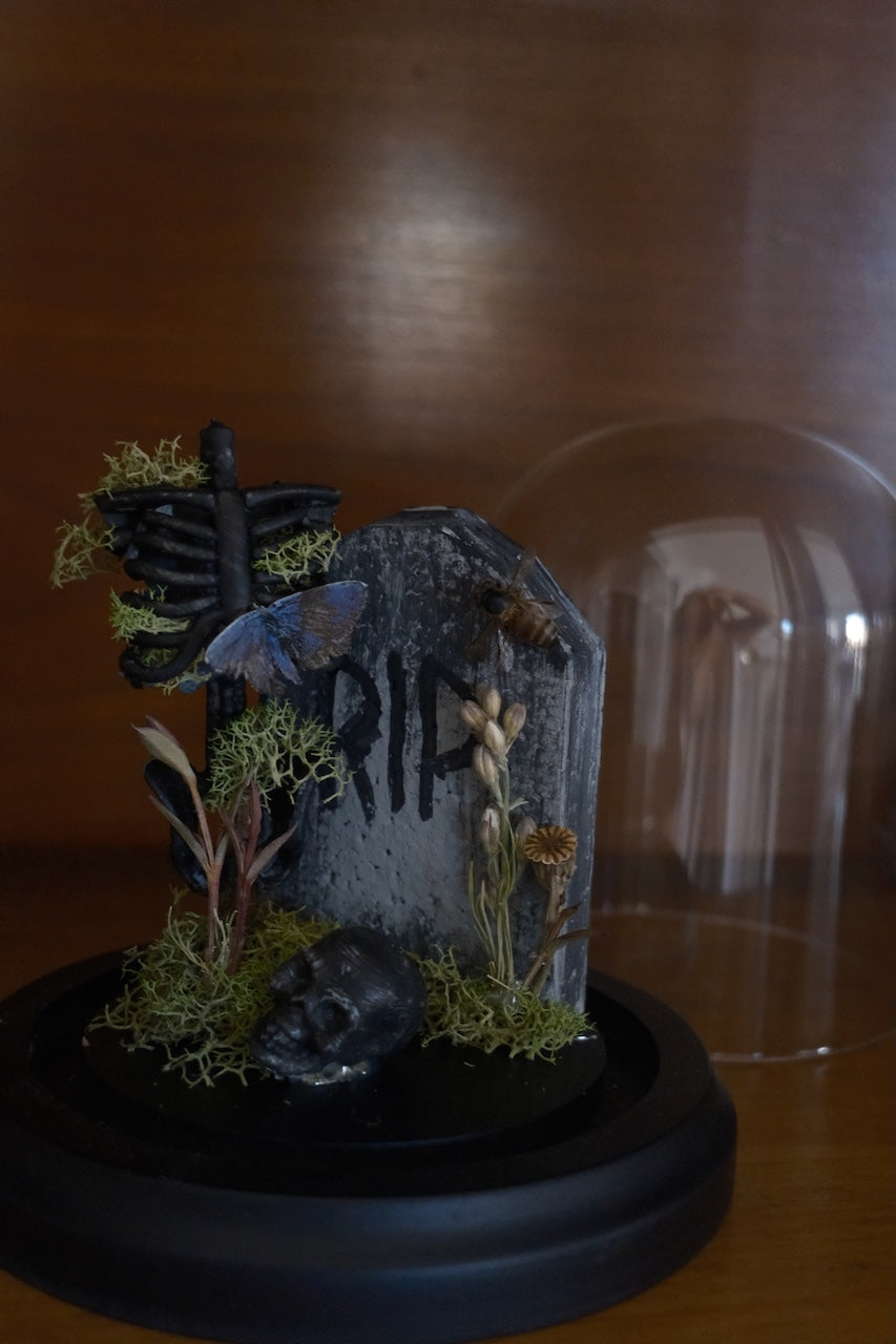 Cemetery Dome .2