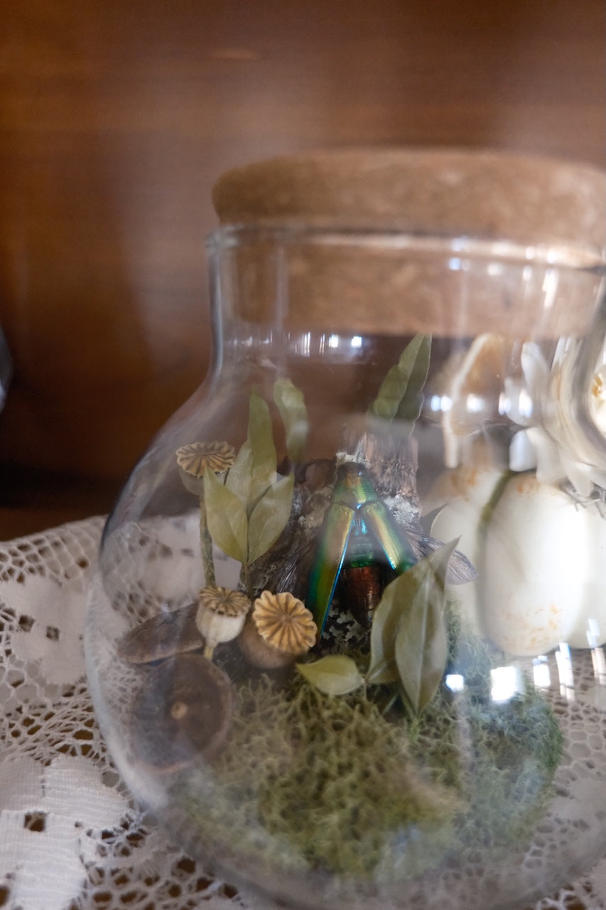 The Flower Post - Mail Club Subscription NOV.