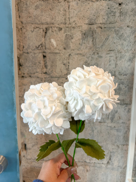 Hydrangeas