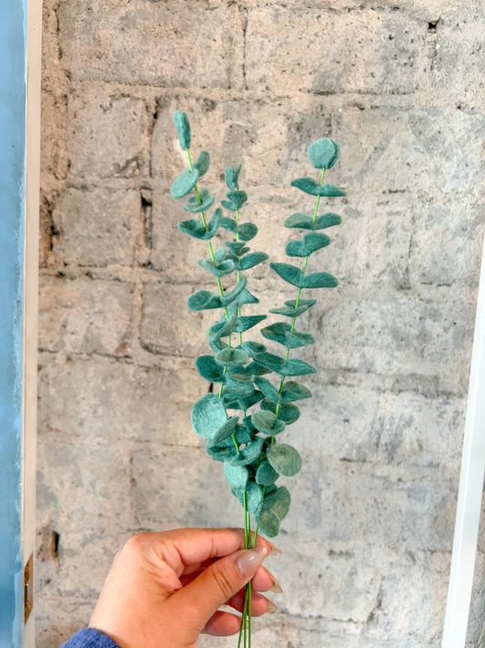 Eucalyptus
