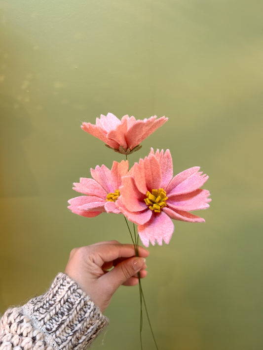 Cosmo - Pink