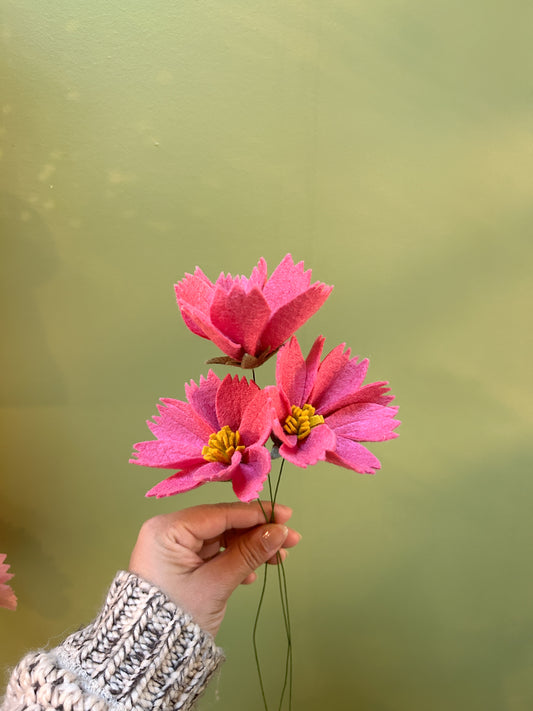 Cosmo - Hot Pink