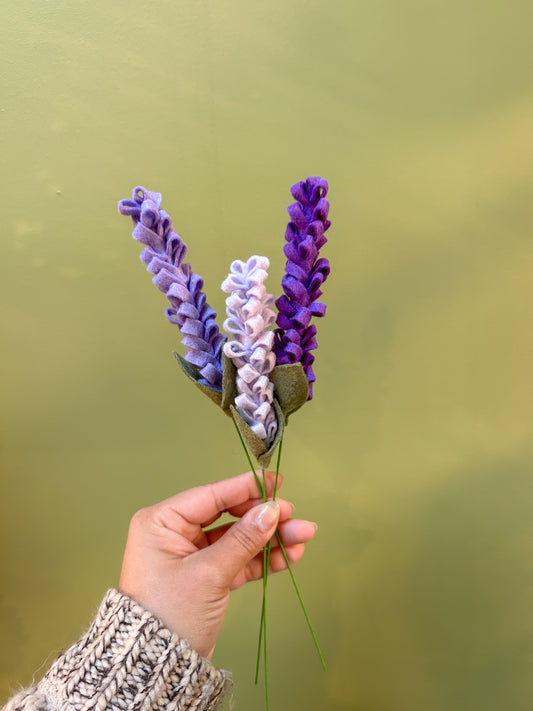 Lavender- Dark Purple