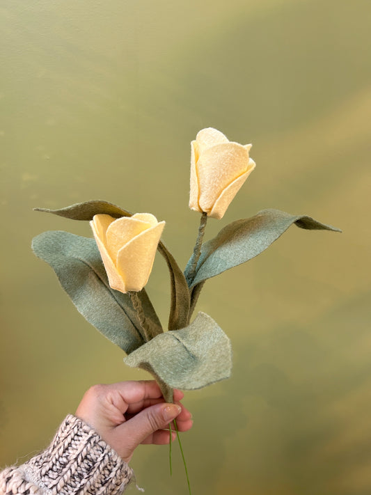 Tulip - Yellow