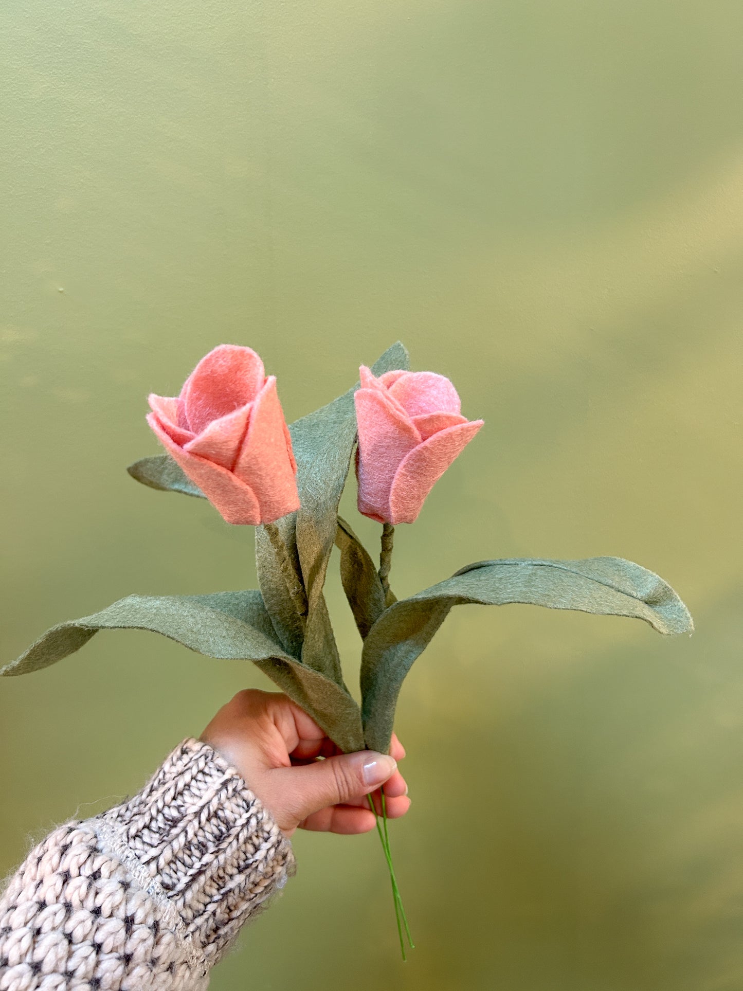 Tulip - Pink