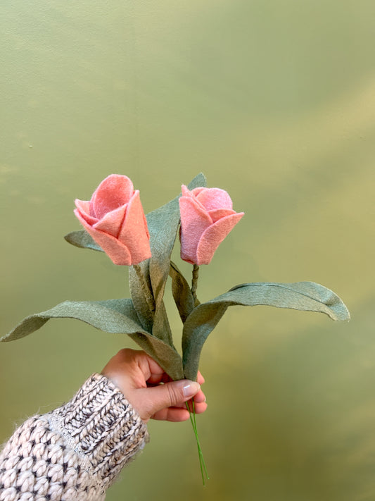 Tulip - Pink