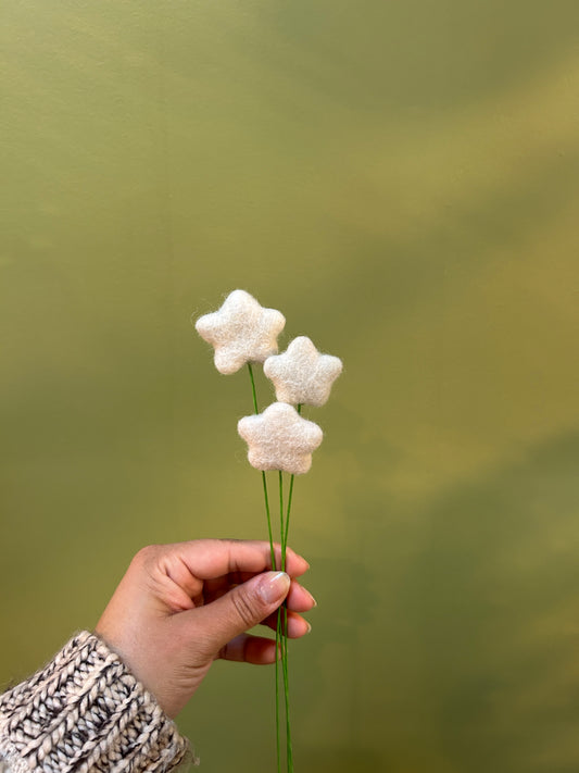 Felt Star