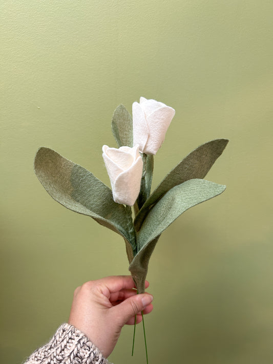 Tulip - White