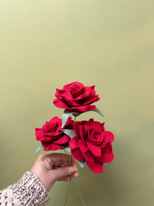 Rose - Red